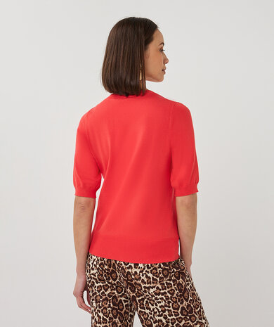 Esqualo Sweater s/slve r/neck basic knit Chili Red