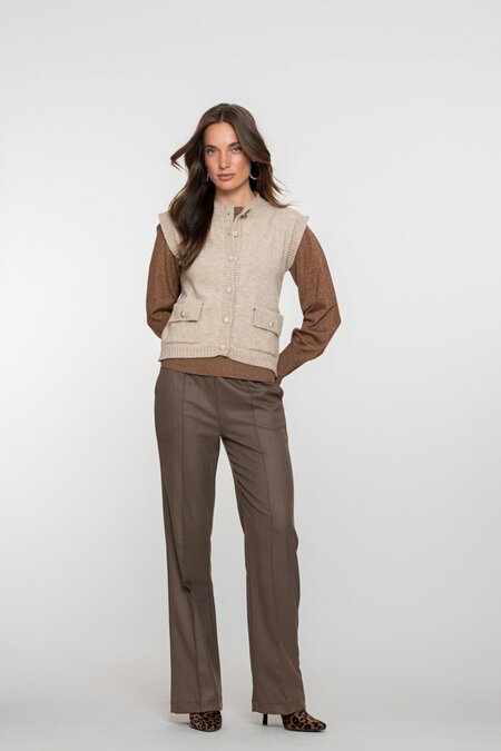 Geisha broek taupe/lurex